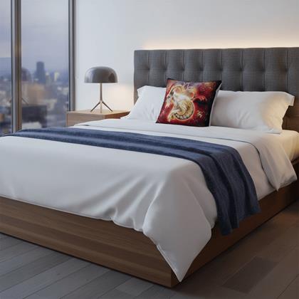 Imaginea din Husă de pernă cu zodie - Capricorn