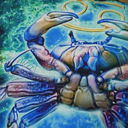 Imaginea din Husă de pernă cu zodie - rac