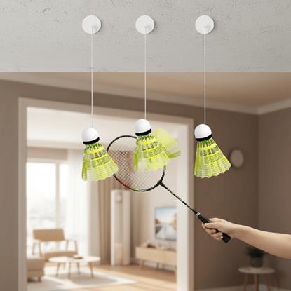 Imaginea Antrenor de badminton cu 3 mingi