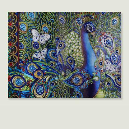 Imaginea Pictură cu diamante deluxe 