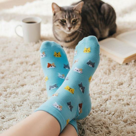 Imaginea din Șosete cu pisici  -  albastre