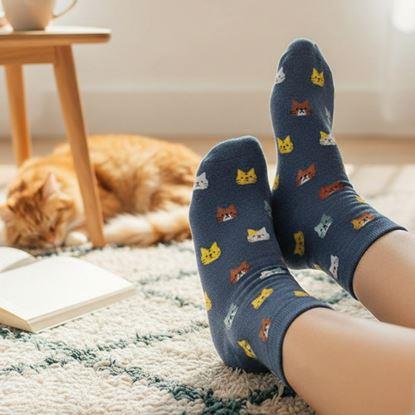 Imaginea Șosete cu pisici 