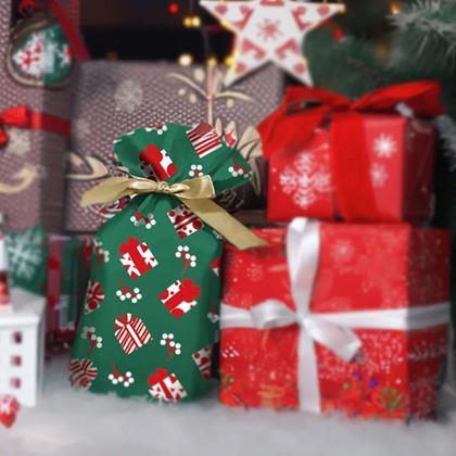 Imaginea din Pungi cadou cu fundă 10 buc - L