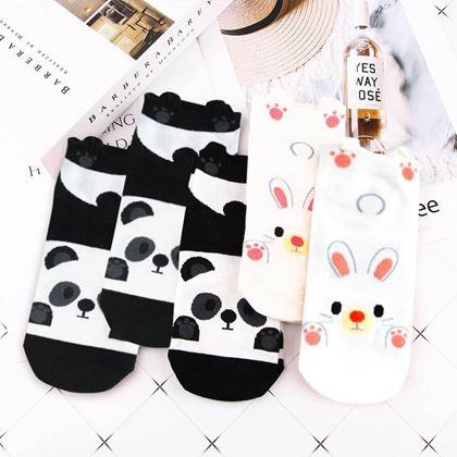 Imaginea din Șosete scurte  - panda