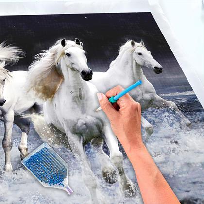 Imaginea din Pictură cu diamante basic  -  căluți