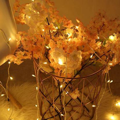 Imaginea Ghirlandă luminoasă LED 9 m