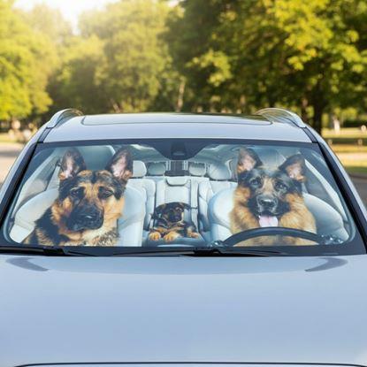 Imaginea Parasolar auto cu ventuze