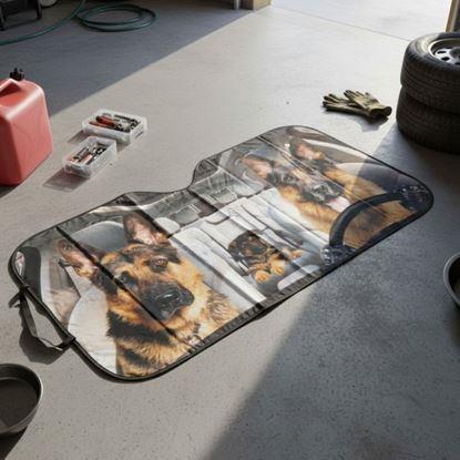 Imaginea Parasolar auto cu ventuze