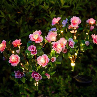 Imaginea Buchetă solară