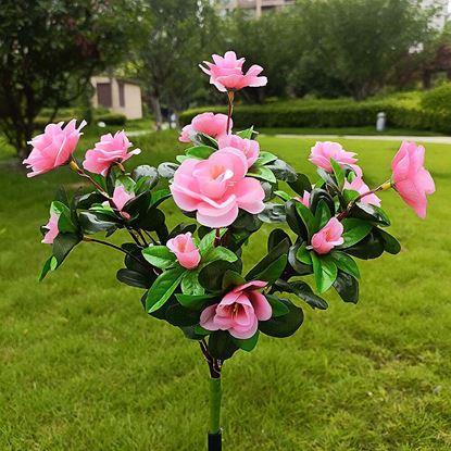 Imaginea Buchetă solară