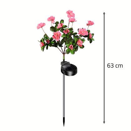 Imaginea din Buchetă solară