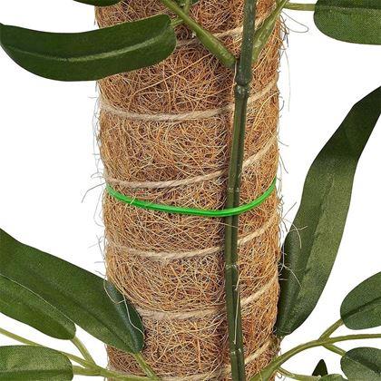 Imaginea din Suport pentru plante cățărătoare