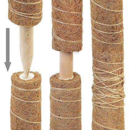 Imaginea din Suport pentru plante cățărătoare
