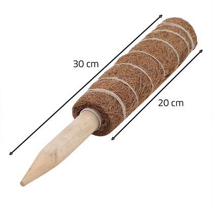 Imaginea din Suport pentru plante cățărătoare