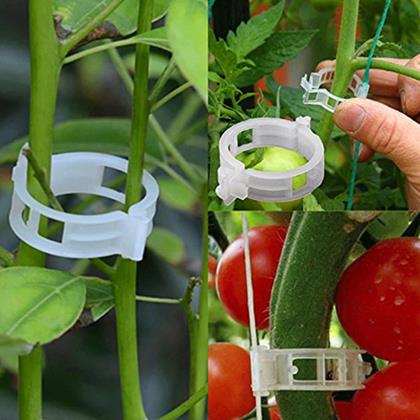 Imaginea din Clipuri/benzi pentru fixarea plantelor 50 buc