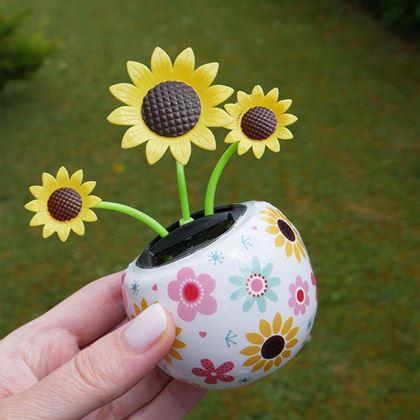 Imaginea din Floare solară - floarea - floarea-soarelui