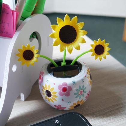 Imaginea din Floare solară - floarea - floarea-soarelui