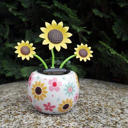 Imaginea Floare solară - floarea