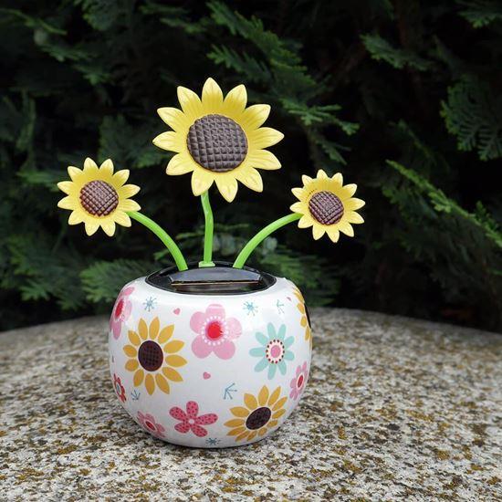 Imaginea din Floare solară - floarea - floarea-soarelui