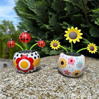 Imaginea din Floare solară - floarea - floarea-soarelui