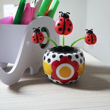 Imaginea din Floare solară - floarea - buburuză