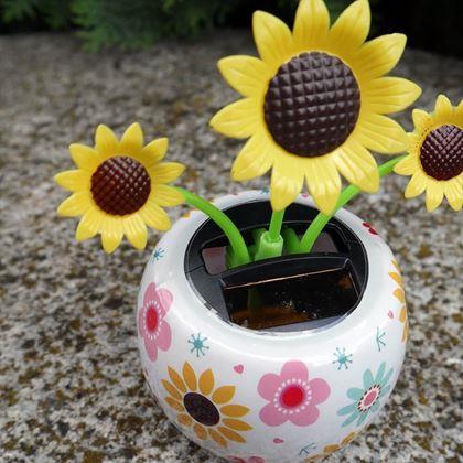 Imaginea din Floare solară - floarea - floarea-soarelui