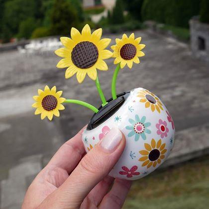 Imaginea din Floare solară - floarea - floarea-soarelui