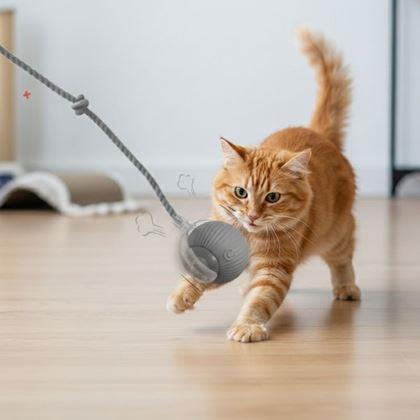 Imaginea din Minge de jucărie reîncărcabilă cu mișcare pentru animale