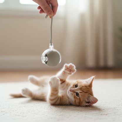 Imaginea Minge de jucărie reîncărcabilă cu mișcare pentru animale