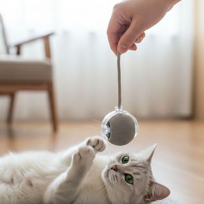 Imaginea din Minge de jucărie reîncărcabilă cu mișcare pentru animale