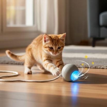 Imaginea Minge de jucărie reîncărcabilă cu mișcare pentru animale