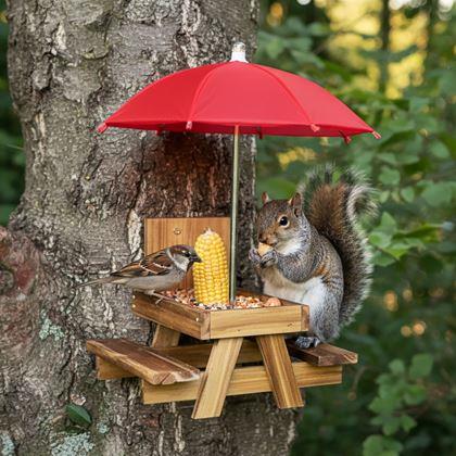 Imaginea din Hrană pentru păsări din lemn