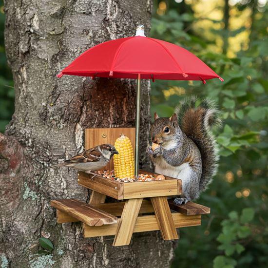 Imaginea din Hrană pentru păsări din lemn