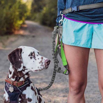 Imaginea Lesă de alergare multifuncțională