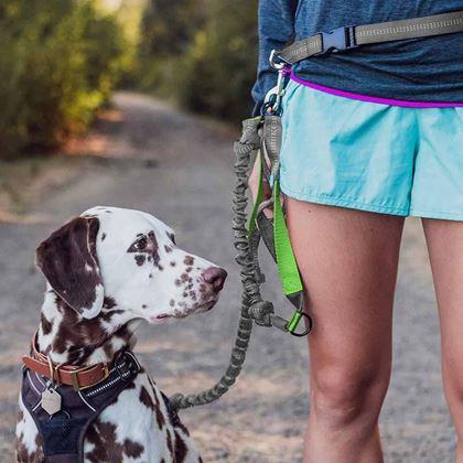 Imaginea din Lesă de alergare multifuncțională