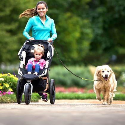 Imaginea din Lesă de alergare multifuncțională