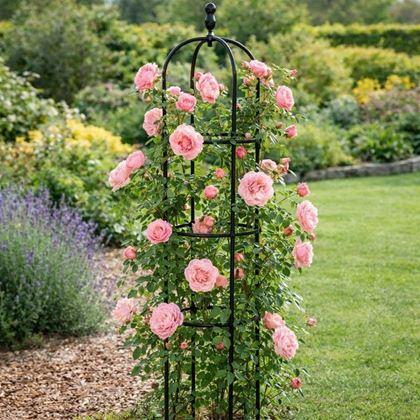 Imaginea din Suport pentru plante cățărătoare 140 cm