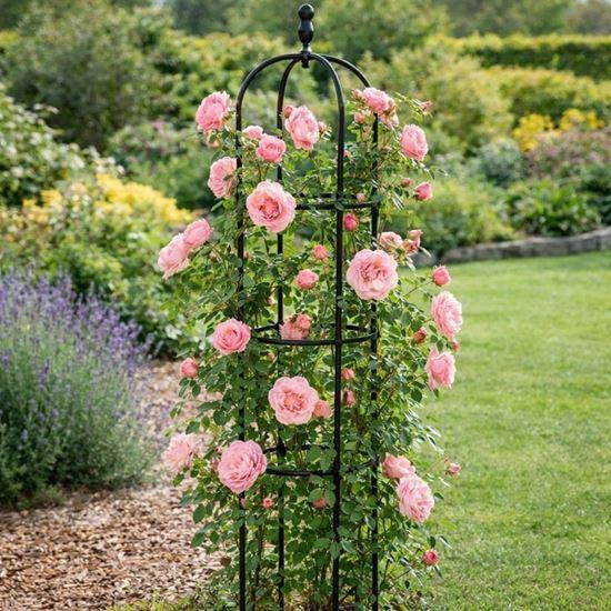 Imaginea din Suport pentru plante cățărătoare 140 cm