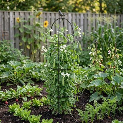 Imaginea din Suport pentru plante cățărătoare 140 cm