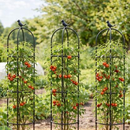 Imaginea Suport pentru plante cățărătoare 140 cm