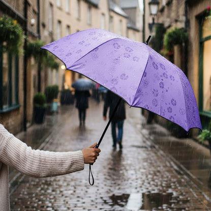 Imaginea Umbrelă magică pliabilă