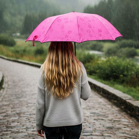 Imaginea din Umbrelă magică pliabilă - închis