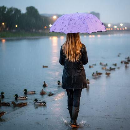 Imaginea Umbrelă magică pliabilă