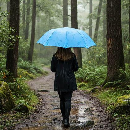 Imaginea din Umbrelă magică pliabilă -  albastră