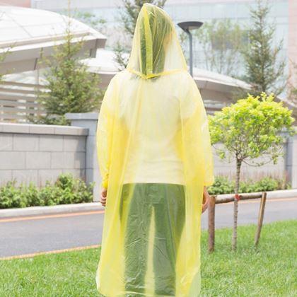 Imaginea din Pelerină de ploaie  -  galben