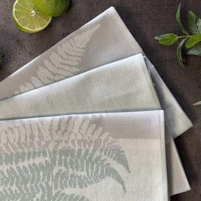 Imaginea Set de 3 prosoape de bucătărie din bumbac 50x70 cm - ferigă