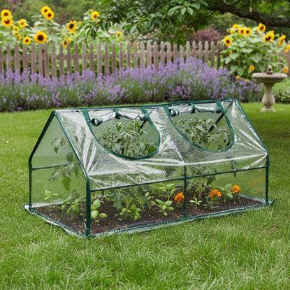 Imaginea Mini seră din folie 120 x 60 x 61 cm