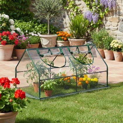 Imaginea din Mini seră din folie 120 x 60 x 61 cm