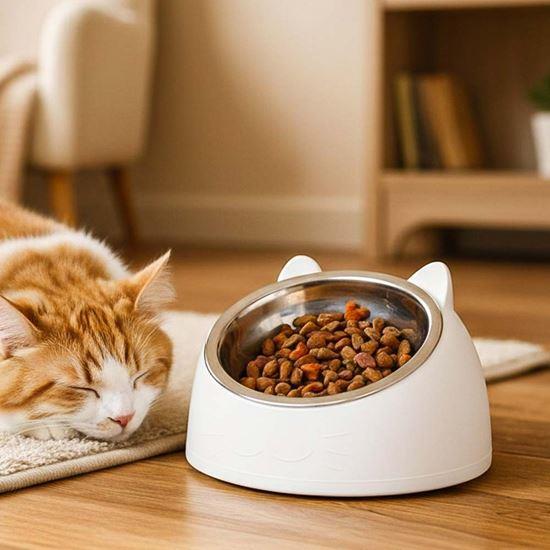 Imaginea din Castron 2 în 1 pentru pisici