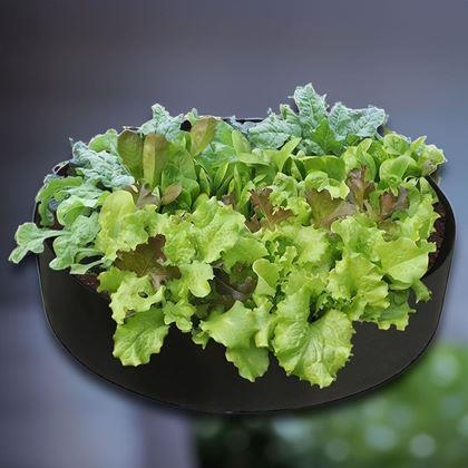 Imaginea din Strat textil 50 l, 60 x 20 cm